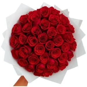 Buquê de 100 Rosas Vermelha